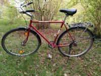 Rotes Fahrrad von Wulien Niedersachsen - Neustadt am Rübenberge Vorschau