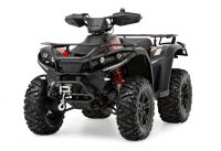 QUAD ATV 4x4 LOW/HIGH Seilwinde Allrad LED Tagfahrlicht Sachsen-Anhalt - Ilsenburg (Harz) Vorschau