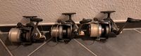 3× Daiwa Emblem Pro 5500 Karpfenrollen Angelrollen Karpfenangeln Niedersachsen - Bad Bentheim Vorschau