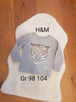 H&M Pullover Tiger Gr 98 104 Mädchen Junge Unisex langarm Shirt Bayern - Lohr (Main) Vorschau