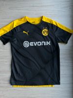 Original bvb Trikot Borussia Dortmund Puma 176 Schleswig-Holstein - Ammersbek Vorschau
