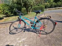 Damenfahrrad Winora Lady 28" Hessen - Melsungen Vorschau