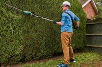 ❌ Gartenarbeit Gartenbau Hecken schneiden Laub sammeln Zaunbau❌ Berlin - Zehlendorf Vorschau