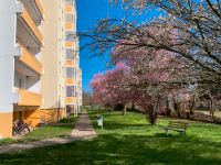 Sie sind Single? Azubi? Student? Dann ist diese Wohnung mit Balkon genau richtig Sachsen-Anhalt - Calbe (Saale) Vorschau