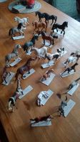 Schleich Pferde/Ponys, Fohlen, Preis/Stück Kreis Pinneberg - Barmstedt Vorschau