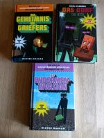 3x minecraft Bücher.. Hessen - Korbach Vorschau