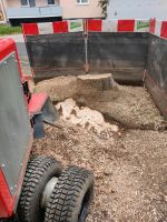 Baumstumpffräsen - Wurzelstock entfernen - Baumstumpf entfernen Bayern - Neukirchen b Hl Blut Vorschau