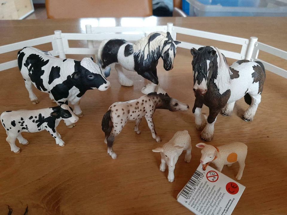 Schleich Pferde, Kühe, Lämmer in Koppel,  1x tiptoi in Salzgitter