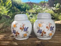 Teedosen aus Keramik Deko vintage Retro Baden-Württemberg - Hechingen Vorschau