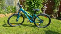 ❤️ Fahrrad Mountainbike von TREK, 26 Zoll, Damen ❤️ Thüringen - Themar Vorschau