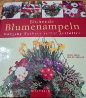 Blühende Blumenampeln - Hanging Baskets selbst gestalten Mecklenburg-Vorpommern - Setzin Vorschau