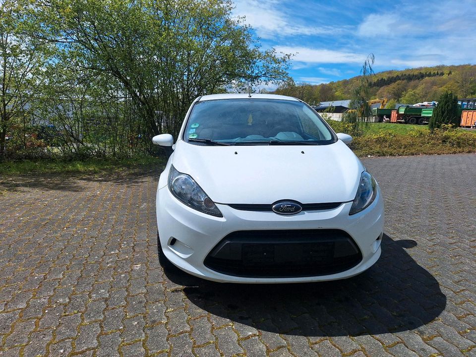 Ford Fiesta in Bad Marienberg