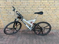 Bastler 22 Zoll Fischer Mountainbike Fahrrad Ersatzteile Scheiben Niedersachsen - Elze Vorschau