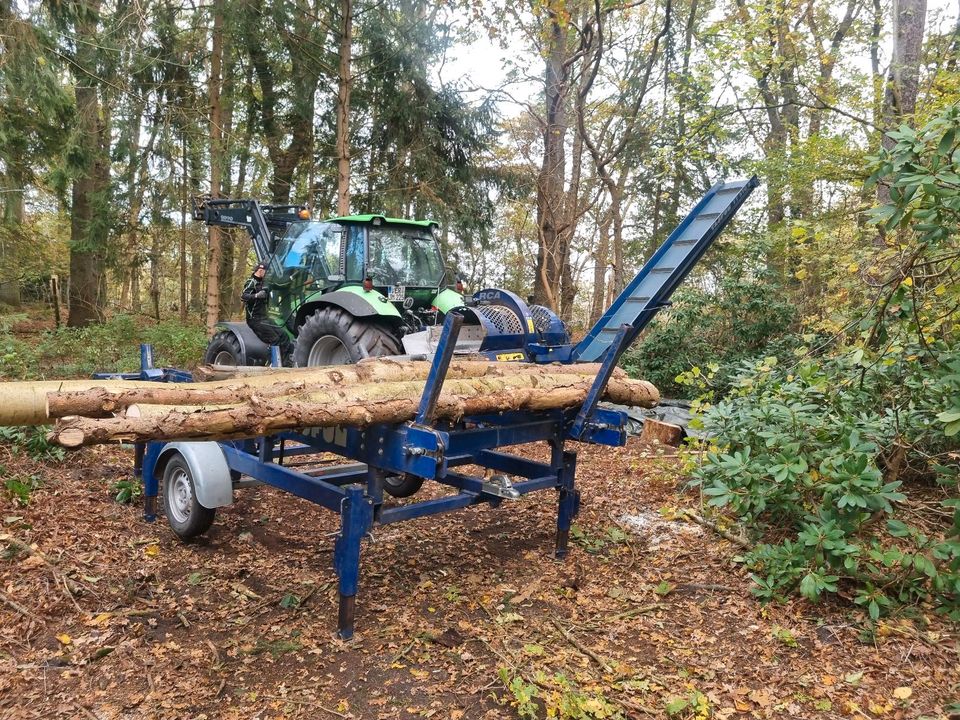 Sägespaltautomat Brennholz Feuerholz Stammholz in Ottersberg