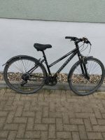 Verkaufe Fahrrad Marin San Anselmo 28 Zoll Sachsen - Heidenau Vorschau