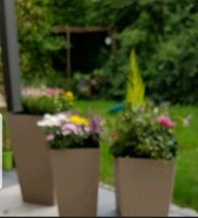 Garten Polyrattan Blumenkübel Pflanzkasten Set (4 teilig) beige Dortmund - Bodelschwingh Vorschau