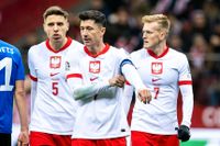 Fussballtrikot Lewandowski 9 Polen Polska L Neu Nordrhein-Westfalen - Hamm Vorschau