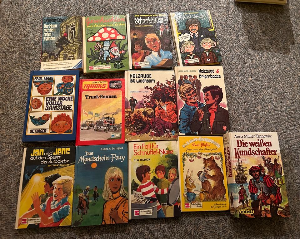 13 verschiedene Kinderbücher „Holzauge“, „Das Sams“, „Jojo“ in Dortmund