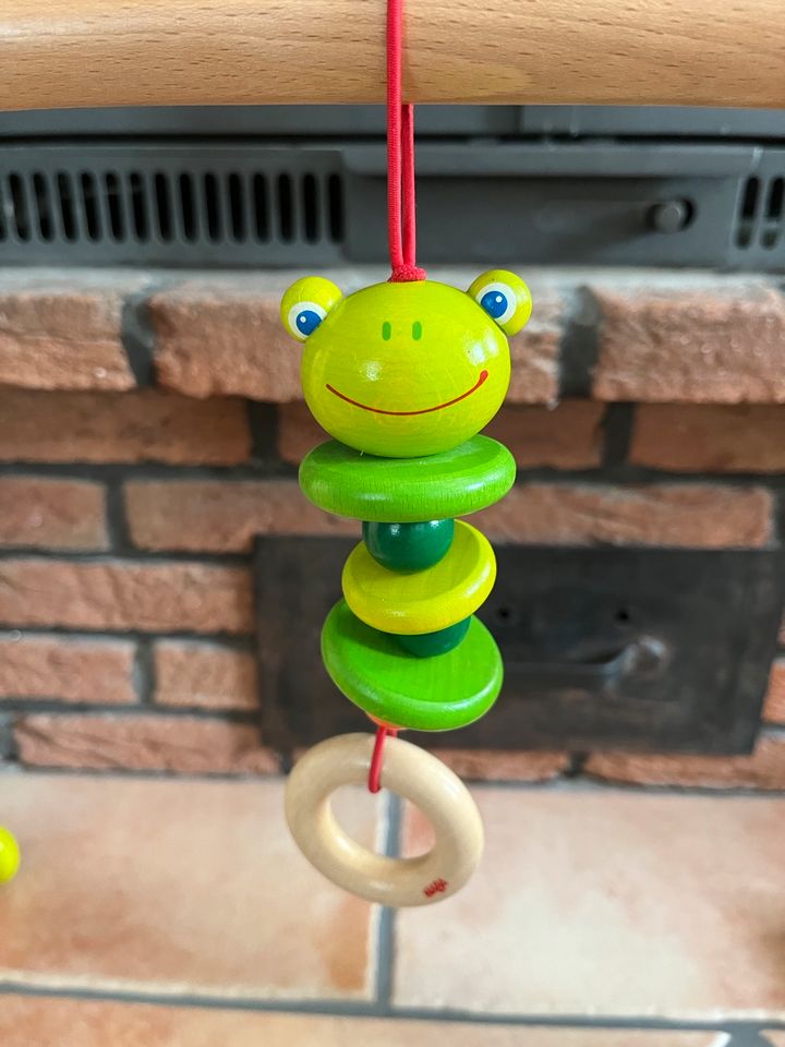 Spielbogen mit Frosch von Haba in Undeloh