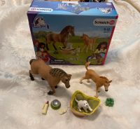 Schleich Horse Club 42432 (Pferde u. Hund) vollständig u. mit OVP Hannover - Mitte Vorschau