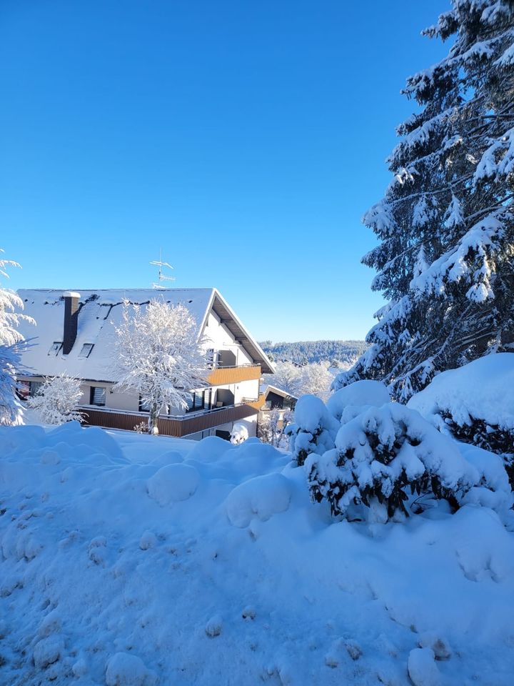 Traumhafte 2 Zi Wohnung möbliert in Schönwald zu vermieten in Schönwald im Schwarzwald 