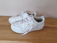 Puma Schuhe Nordrhein-Westfalen - Detmold Vorschau