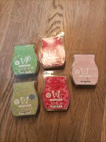 5 Scentsy Bars neu ! Nordrhein-Westfalen - Velbert Vorschau