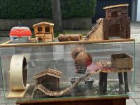 Hamsterkäfig aus Glas zu verkaufen – Komplettset mit Zubehör Baden-Württemberg - Karlsruhe Vorschau