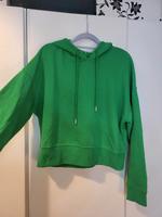 grüner Hoodie Sachsen-Anhalt - Halle Vorschau