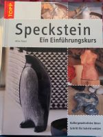Speckstein - Ein Einführungsbuch NEU Rheinland-Pfalz - Ingelheim am Rhein Vorschau