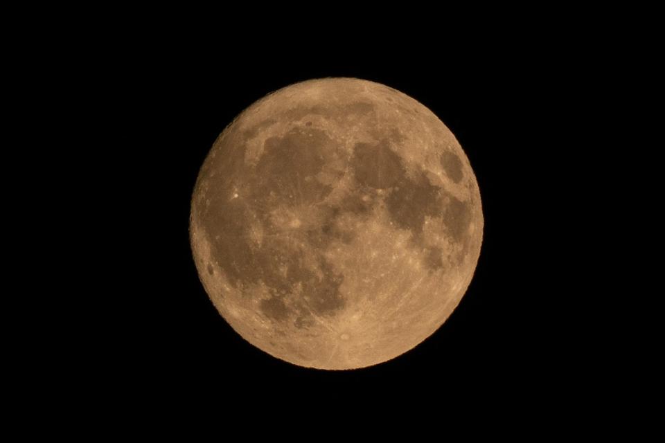 Sony Alpha 77 II (ILCA-77M2) DSLR, 16-50 f2.8, 70-300 f4-5.6 in Geilenkirchen