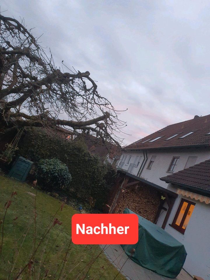 ❗Baumfällung,Hecke/Problem/Baum fällen / entfernen,Sturmschaden in Bruckberg bei Landshut