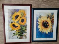 Bilder mit Sonnenblumen Niedersachsen - Buchholz in der Nordheide Vorschau