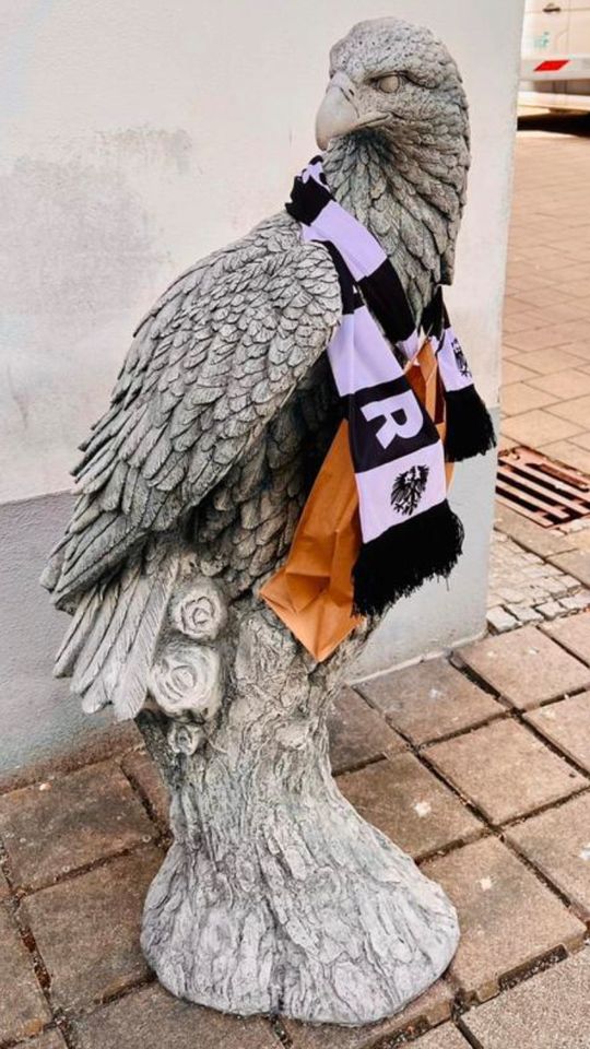 Adler 100kg 106cm Steinadler Seeadler Greifvogel Eagle Harley SGE in Düsseldorf