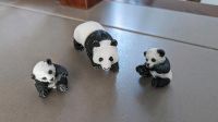 Schleich Pandas Nordwestmecklenburg - Landkreis - Gägelow Vorschau