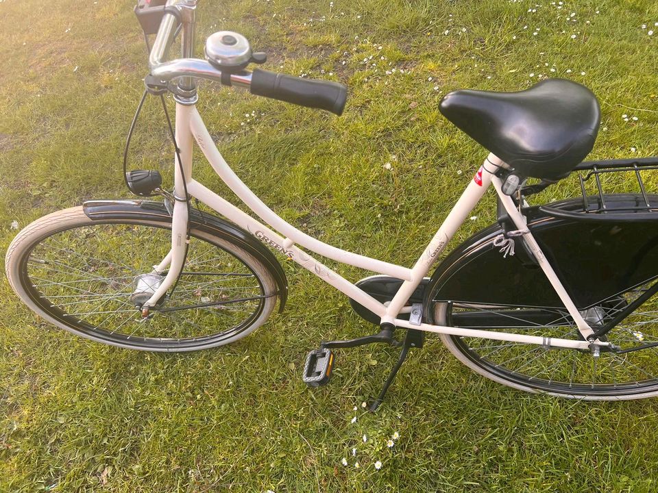 Damen Fahrrad in Südbrookmerland