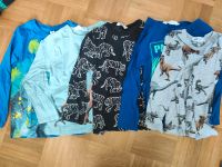 Langarmshirt dünn Paket 110/116 Dinosaurier, Tiere Baden-Württemberg - Reutlingen Vorschau