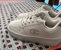 Sneaker Champion Rheinland-Pfalz - Bitburg Vorschau