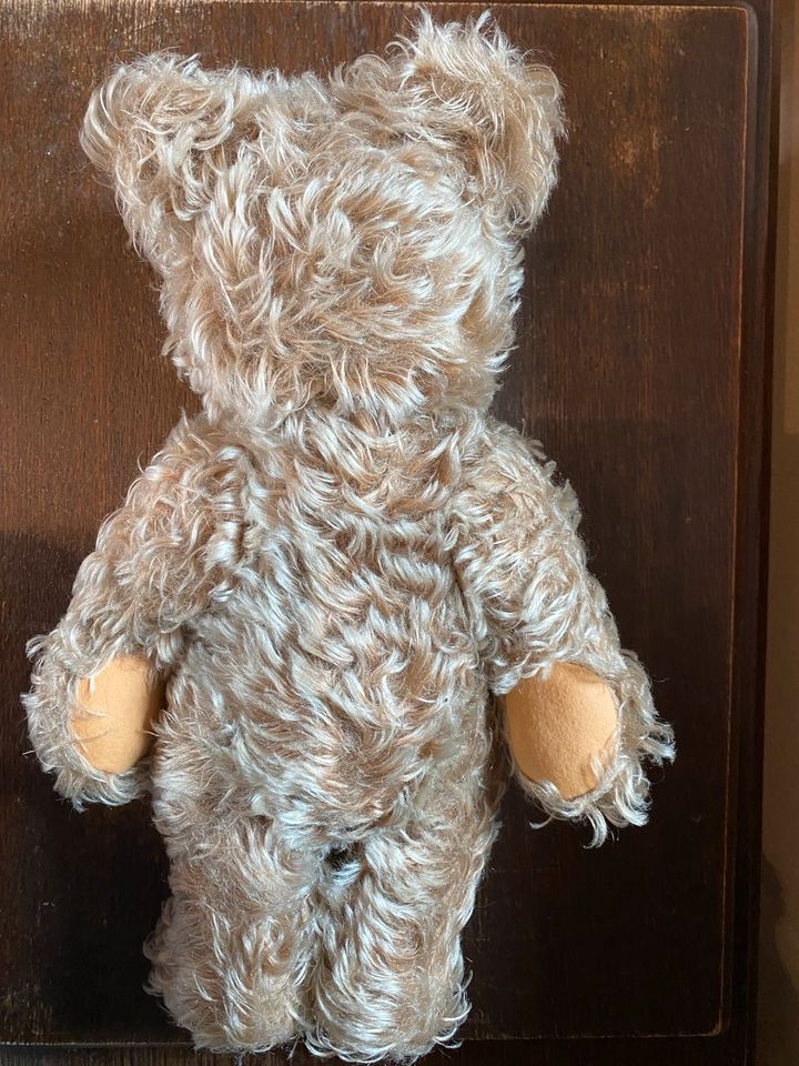 Steiff Teddy -Bär ca 30 cm Knopf im Ohr gut erhalten in Wiehl