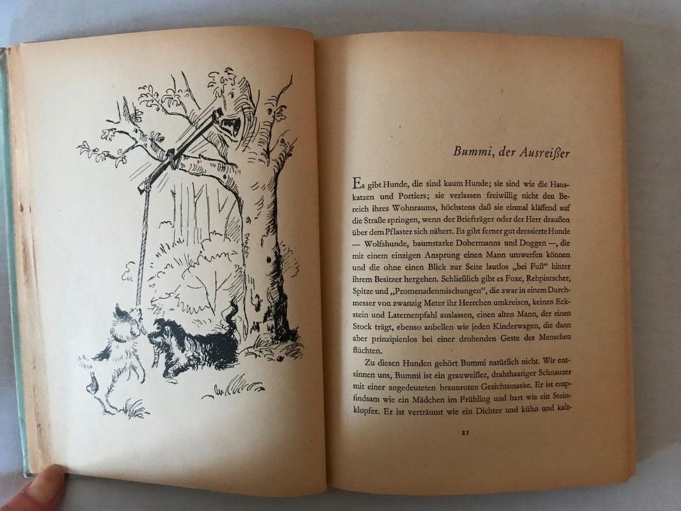 KB:BUMMI-Tiergeschichtenfür große & kleine Kinder-F. Wolf-1952 in Welfesholz