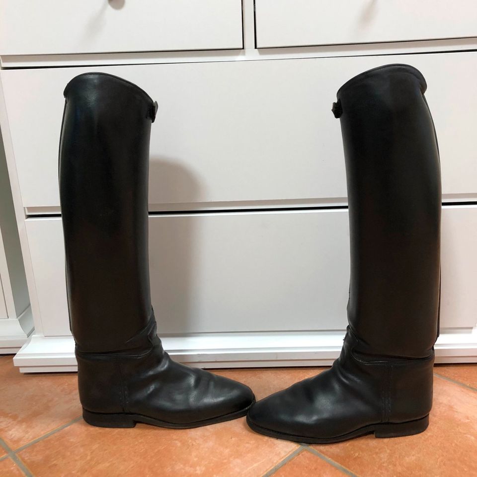 Königs Dressurstiefel Reitstiefel 42/43 H57 cm Wade 39 cm in Dallgow