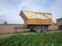 Kögel Tandem 3 Seiten Kipper Silo Aufbau automatische Rückwand Baden-Württemberg - Schwanau Vorschau