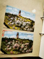 Konvolut Sammlung Guben Ansichtskarten Postkarten Fotos Hefter 2 Leipzig - Knautkleeberg-Knauthain Vorschau