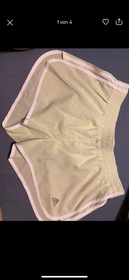 Adidas Shorts in Niederkrüchten