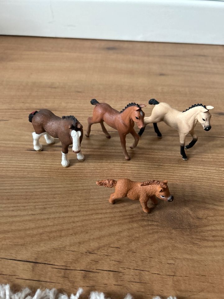 Schleich Pferde in Aschersleben