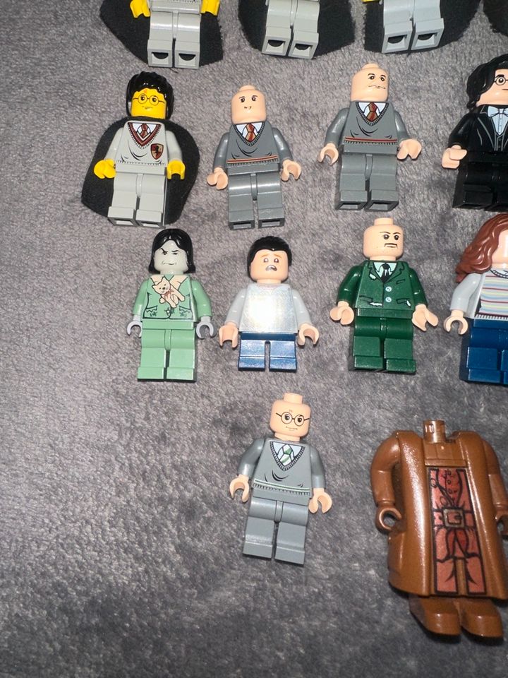 Lego Harry Potter Figuren Sammlung Tiere in Hohenwestedt