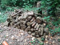 Brennholz nicht gespalten Niedersachsen - Handrup Vorschau