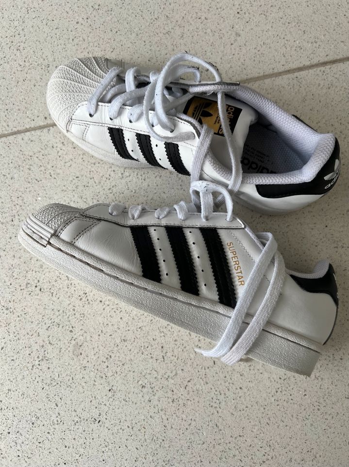 Adidas superstar in Weingarten