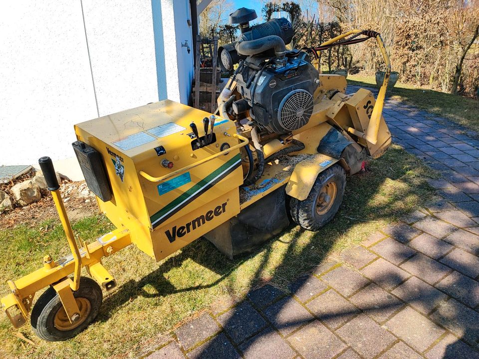 Entfernung Baumstamm, Entfernung, Wurzelstock, Fräsen, Hecke in Moosburg a.d. Isar