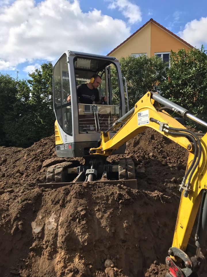 Baumfällung, Baumpflege, Gartenarbeiten, Bagger u. Abrissarbeiten in Naumburg (Saale)